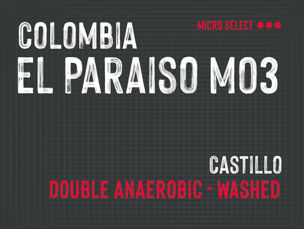 El Paraiso M03, Diego Samuel, Colombia |  Double Anaerobic - Washed MMY-0181