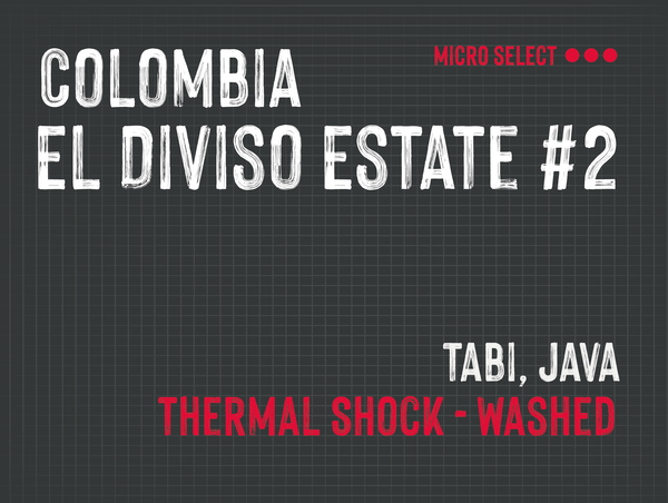 El Diviso Estate #2 , Nestor Lasso, Colombia |  Thermal Shock - Washed MMY-0186