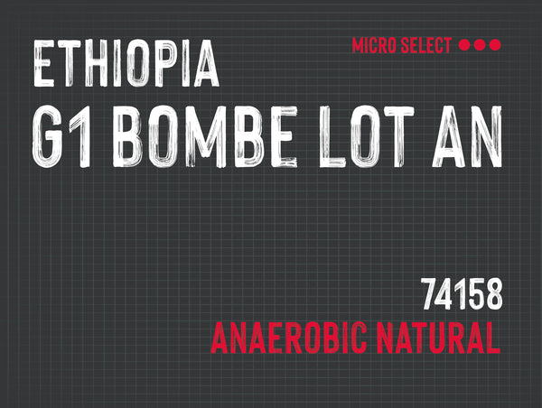 G1 Bombe Lot An,  Basha Bekele, Ethiopia |  Anaerobic Natural MMY-0161