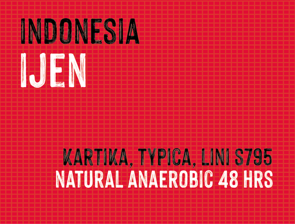Ijen, Indonesia | Natural Anaerobic - MMY-0134