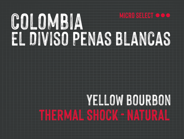 El Diviso Penas Blancas, Nestor Lasso & Jhon Vergara, Colombia |  Thermal Shock - Natural MMY-0189