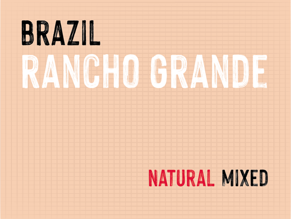 Rancho Grande, Brazil | Natural - MMY-0114